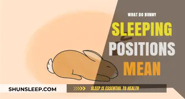 Bunny Sleeping Positions: What Do They Signify?
