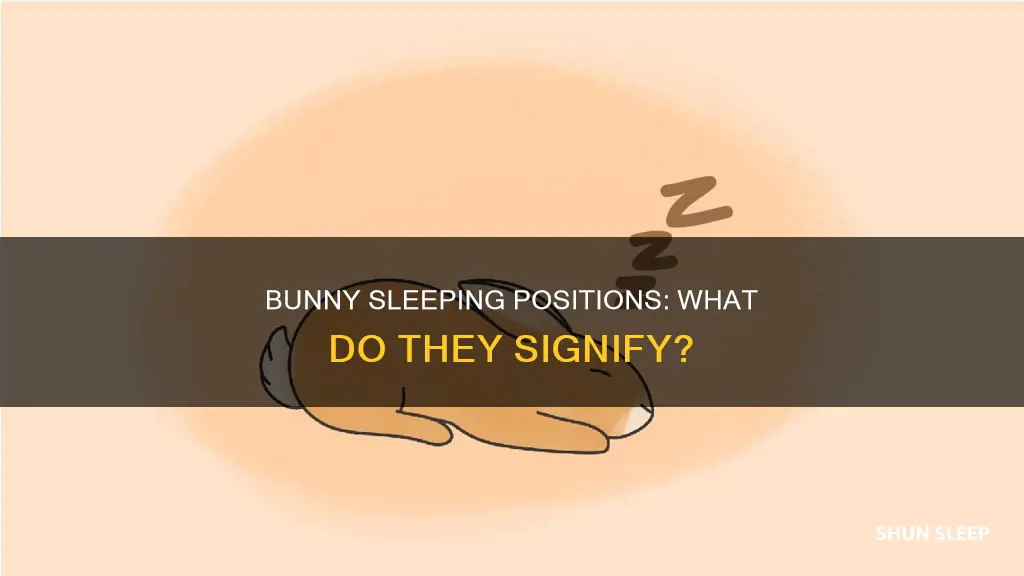 what do bunny sleeping positions mean