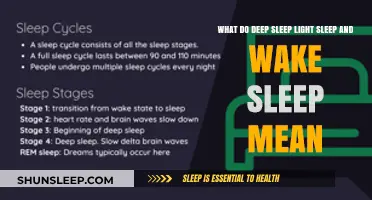 Understanding Sleep: Light, Deep, and Wake Sleep Explained