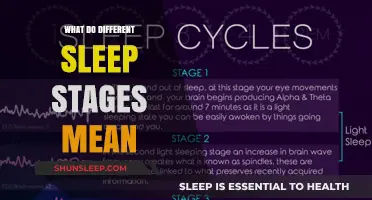 Sleep Stages: Understanding Your Sleep Cycles