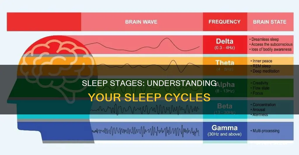 what do different sleep stages mean