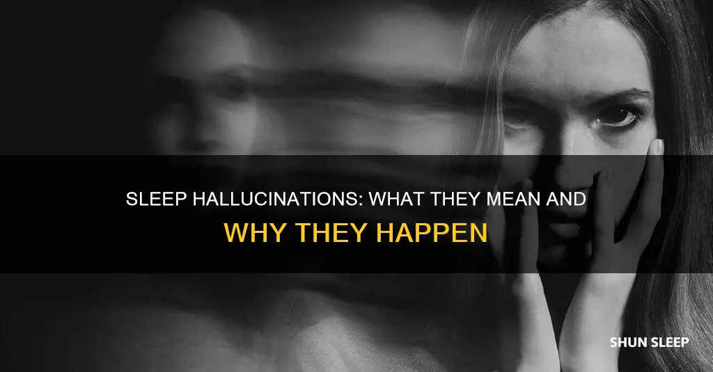 what do hallucinations during sleep mean