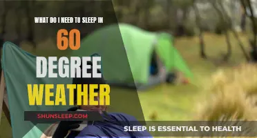 Staying Cozy While Camping: Sleeping Comfortably in 60-Degree Weather