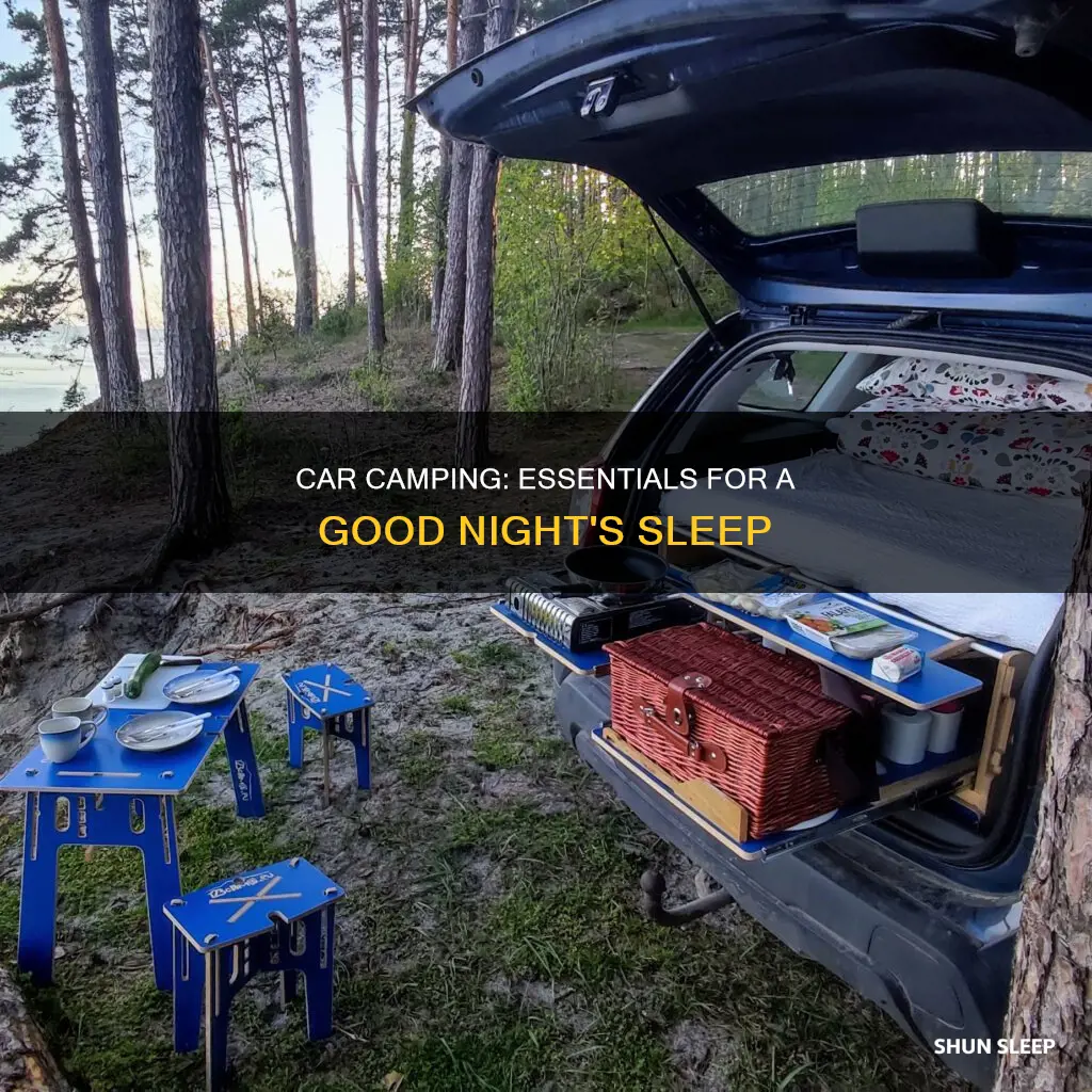 what do i need to sleep in my car