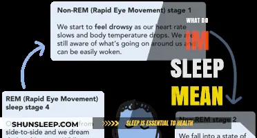 Understanding the Intricacies of Sleep and Dreaming