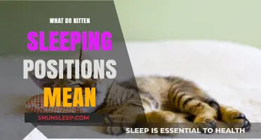Understanding Kitten Sleep Positions: What Do They Mean?