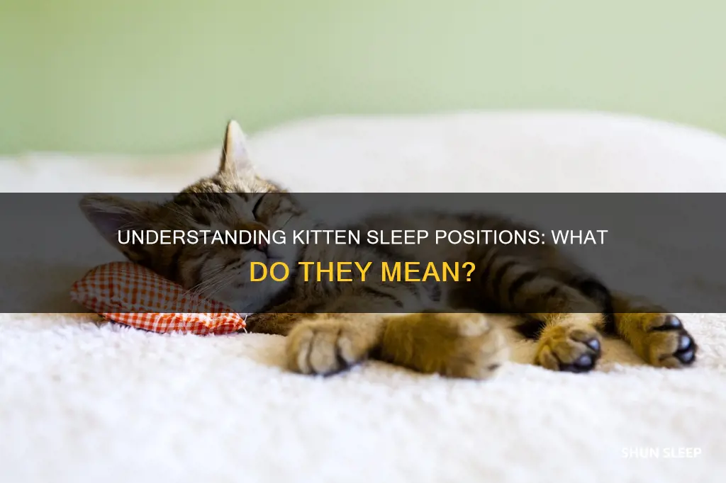 what do kitten sleeping positions mean