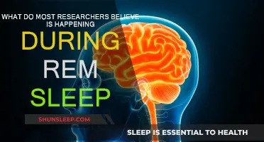 The Mystery of REM Sleep: What's Happening?