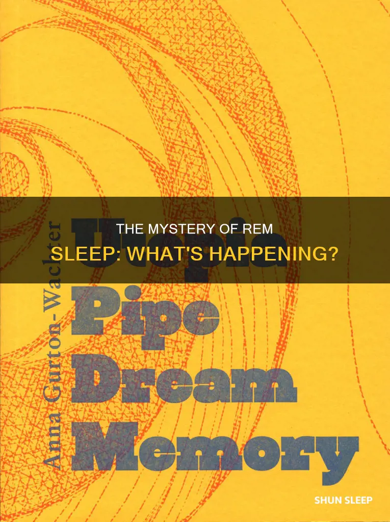 what do most researchers believe is happening during rem sleep