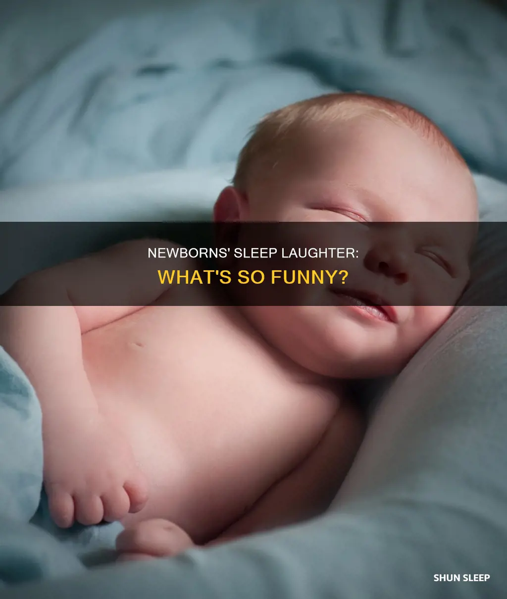 what do newborns laugh about in their sleep