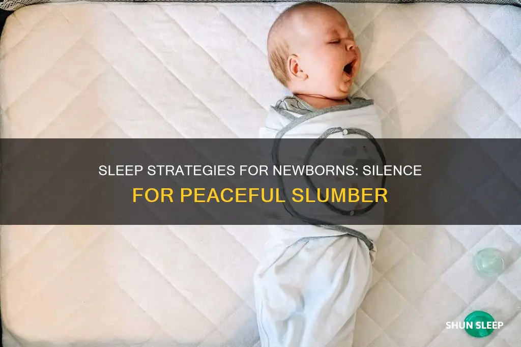 what do newborns need to sleep in complete silence