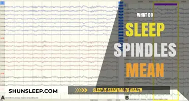 Sleep Spindles: What Do They Mean?