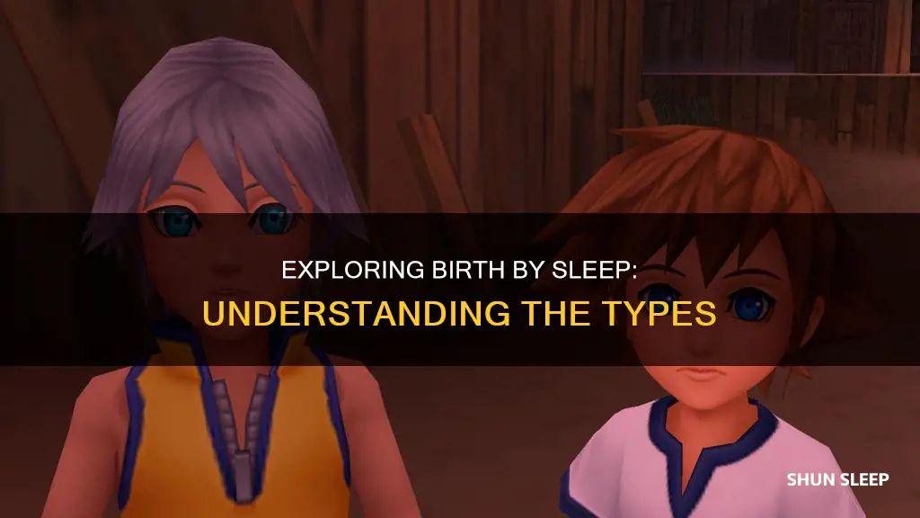 what do the types mean in birth by sleep