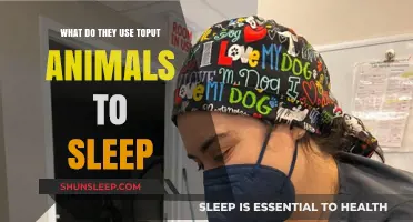 Sedatives and Anesthetics: Putting Animals to Sleep