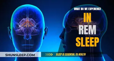 The Intriguing World of REM Sleep Experiences