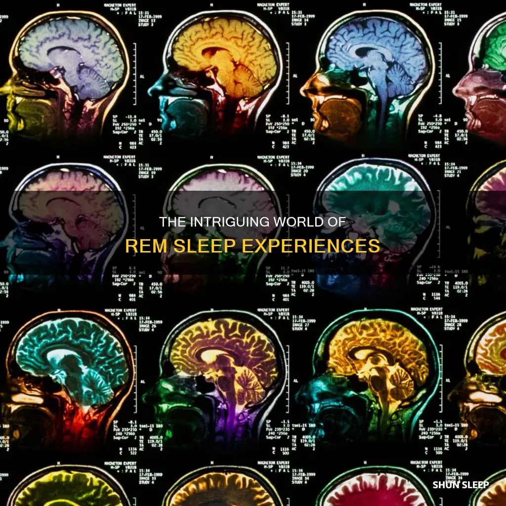 what do we experience in rem sleep