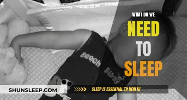 The Science of Sleep: What Your Body Needs