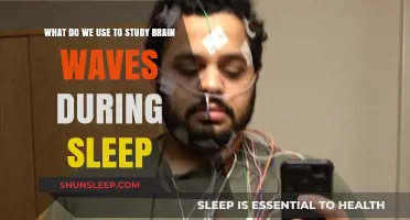 Brain Waves and Sleep: Studying the Unconscious Mind