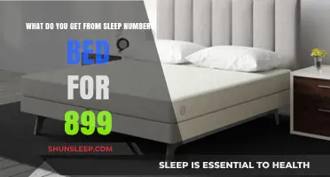 Discover Sleep Number Bed Features and Benefits for Just $899