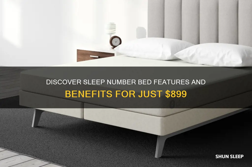 what do you get from sleep number bed for 899