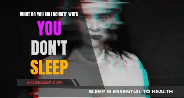 Sleep Deprivation: Hallucinations and the Mind's Eye