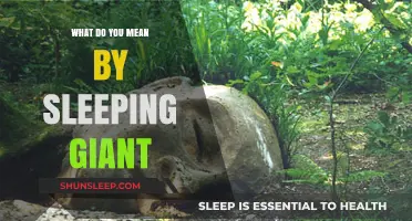 Awaken the Sleeping Giant Within: Unlocking Your Potential