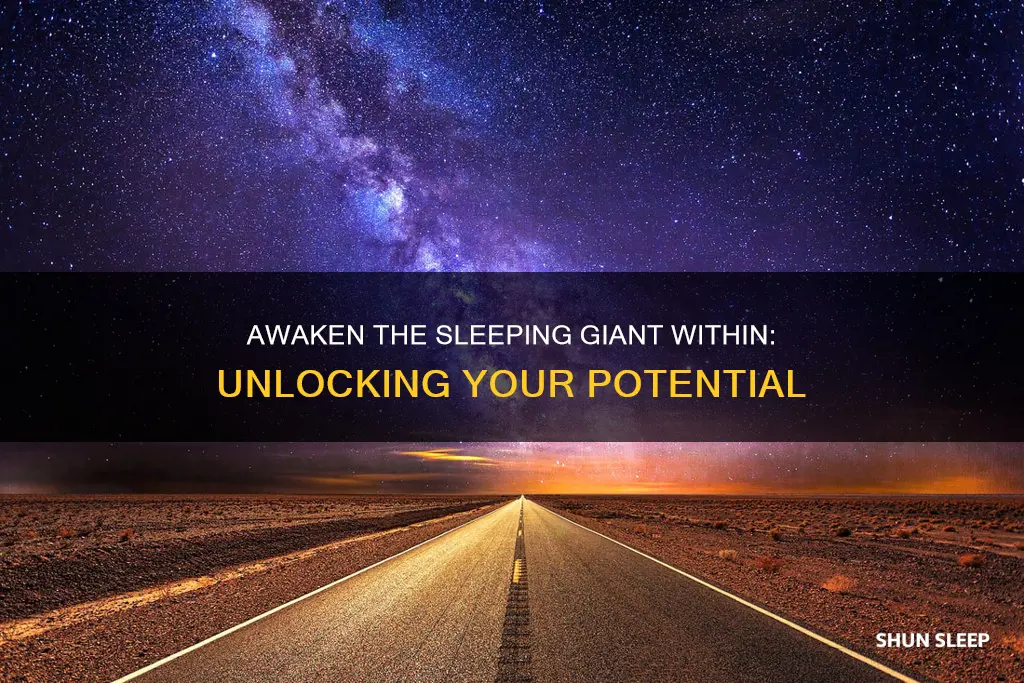 what do you mean by sleeping giant