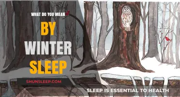 Hibernation: The Winter Sleep Mystery