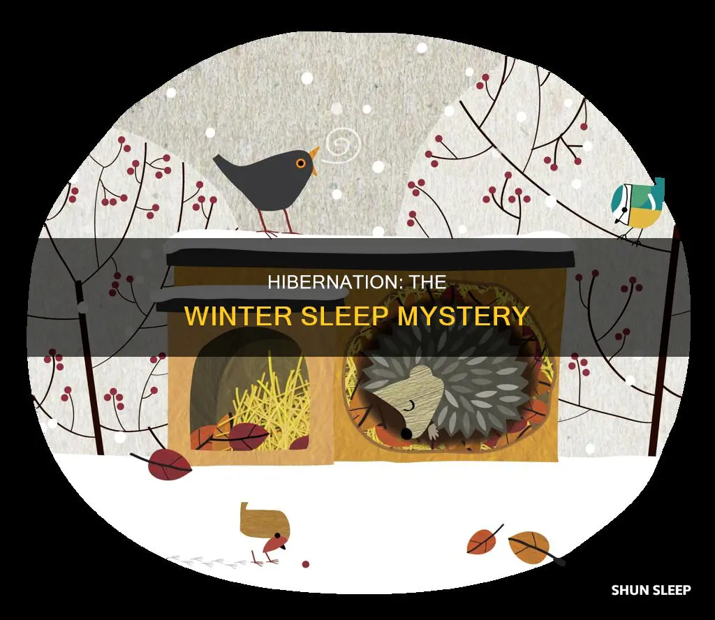 what do you mean by winter sleep