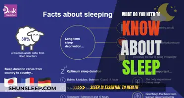 Understanding Sleep: The Ultimate Guide to Slumber Success