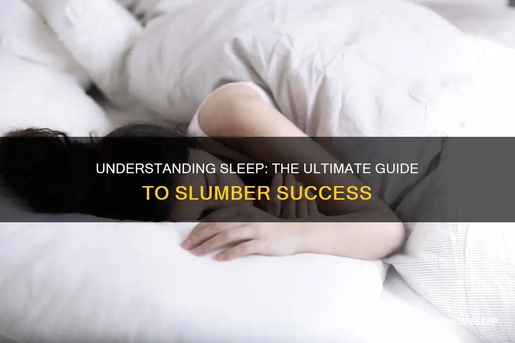 what do you need to know about sleep