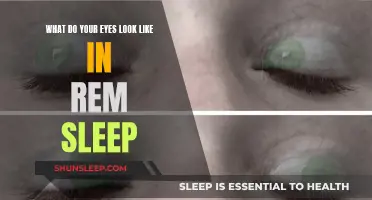 The Science Behind Eyes in REM Sleep