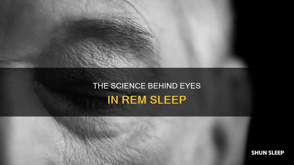 what do your eyes look like in rem sleep