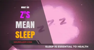 Understanding Sleep: The Meaning of Z's