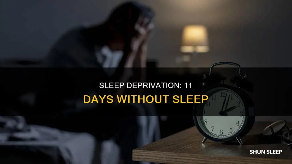 what does 11 days without sleep look like
