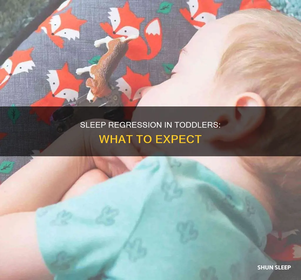 what does 2 year old sleep regression look like