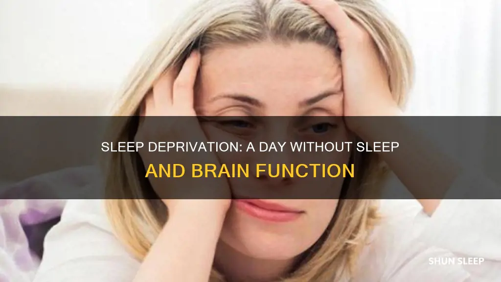 what does a day without sleep do to the brain