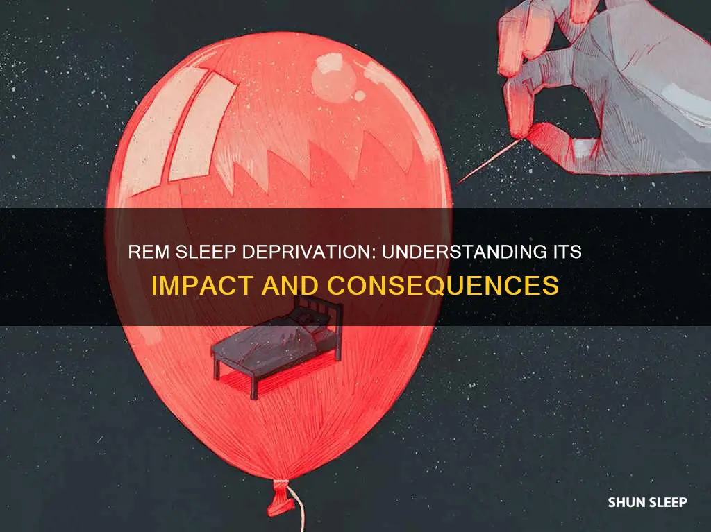 what does a lack of rem sleep do
