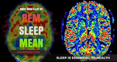 REM Sleep: What Does It Mean to Have Lots of It?