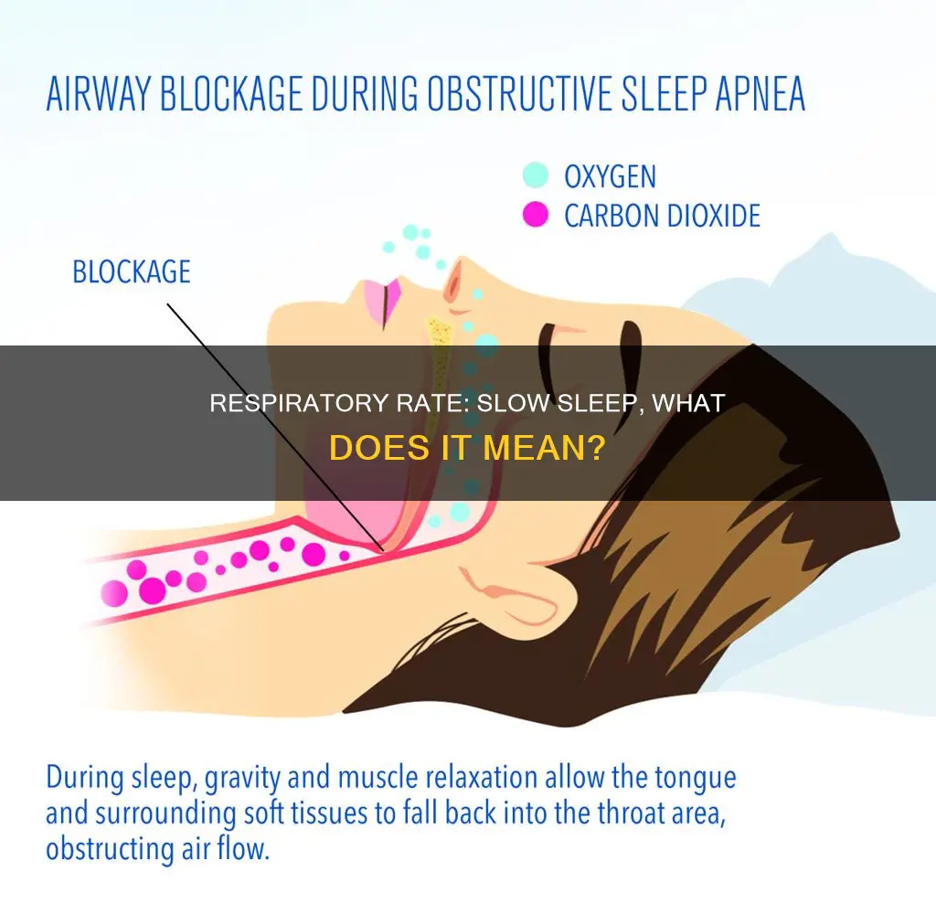 what does a low respiratory rate while sleeping mean