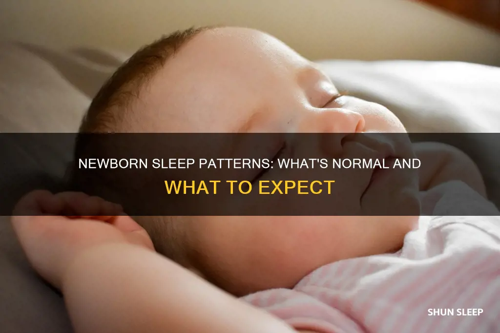 what does a newborn sleep schedule look like