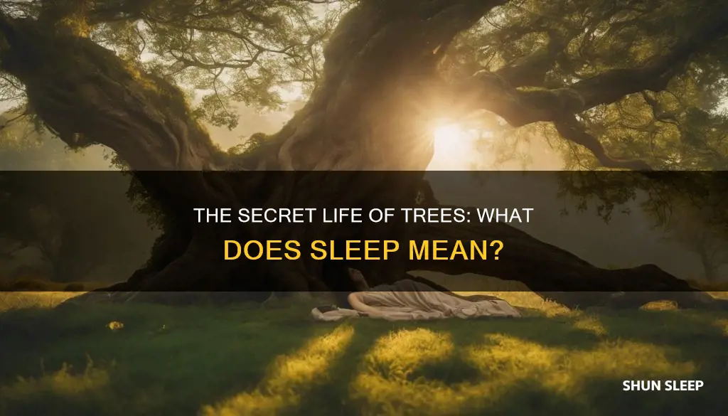 what does a tree is sleeping mean