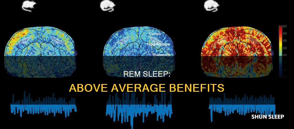 what does above average rem sleep mean