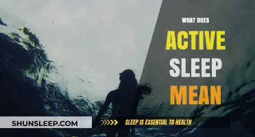 Understanding Active Sleep: Brain Activity and Rest