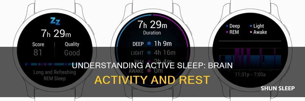 what does active sleep mean
