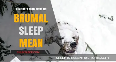 Awakening from Winter's Slumber: Understanding Brumation