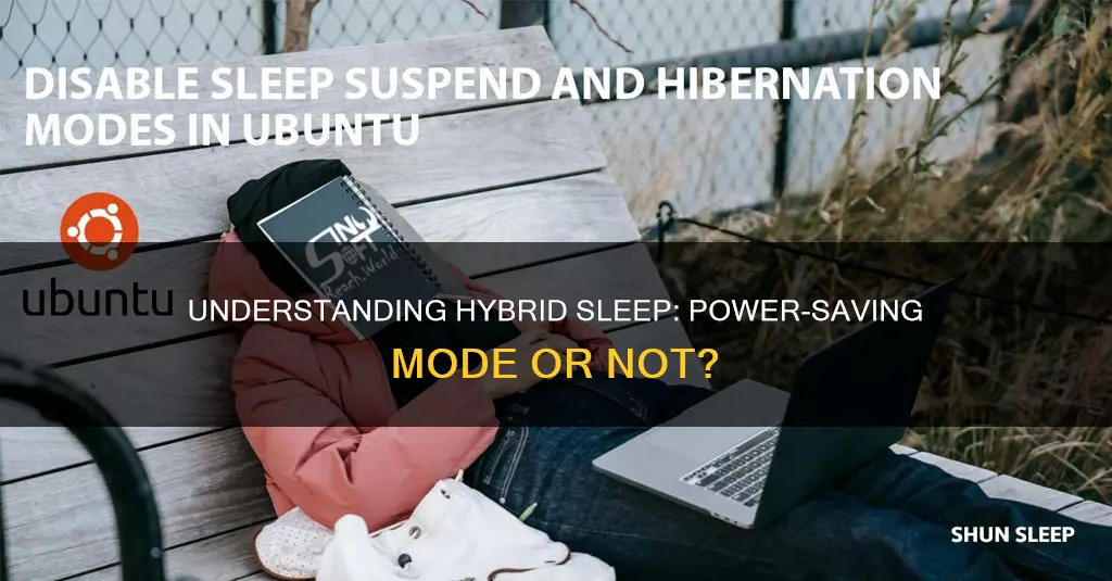 what does allow hybrid sleep mean