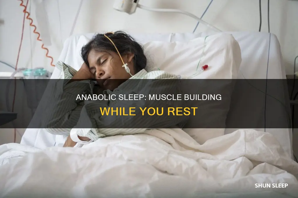 what does anabolic sleep mean