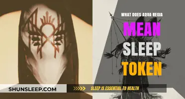 Exploring Sleep Token's Aqua Regia: Unveiling the Mystery