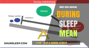 Sexual Arousal During Sleep: What Does It Mean?